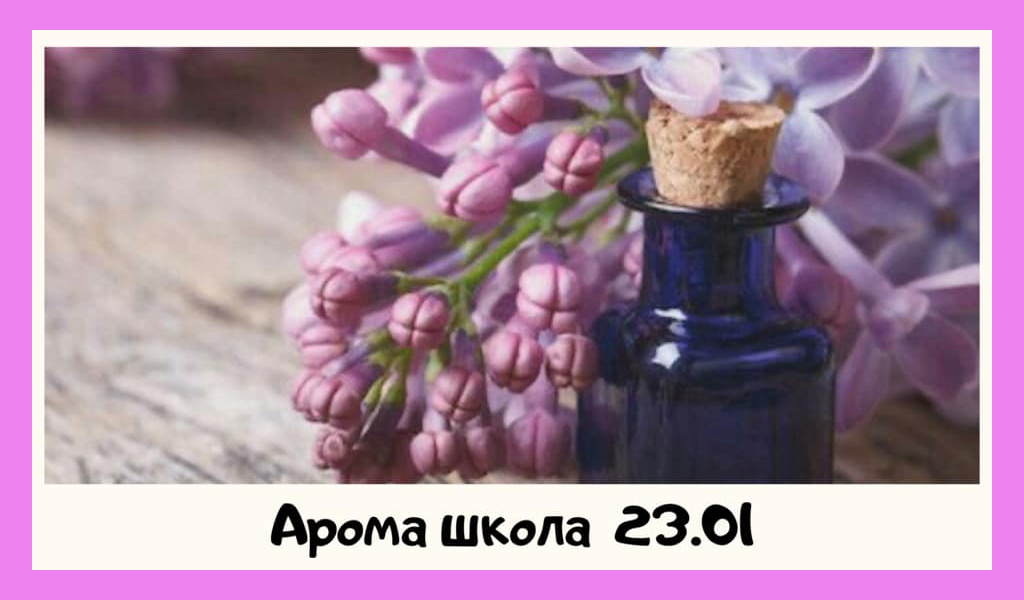 Арома Школа