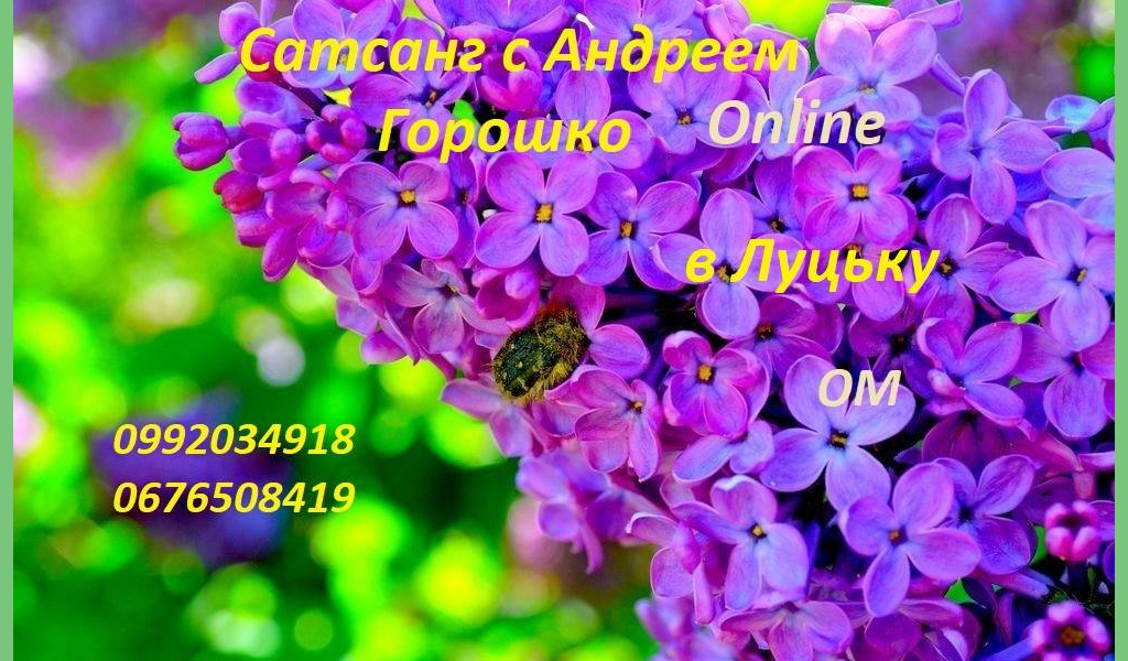 Сатсанг с Андреем Горошко, Онлайн